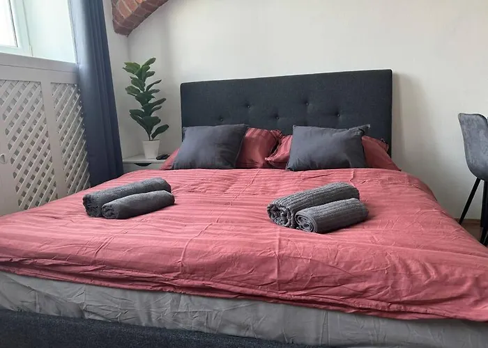 Classy Premium Apartment