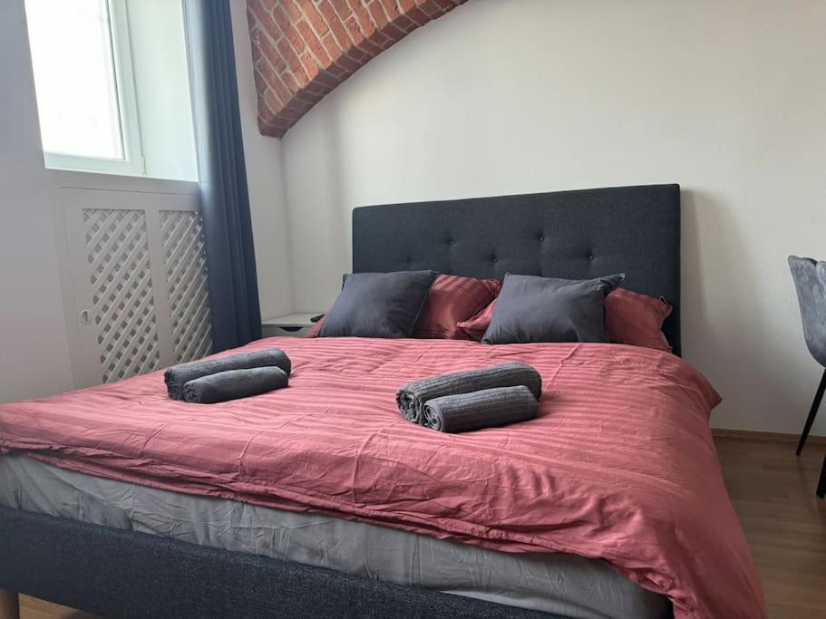 Apartment Classy Premium *